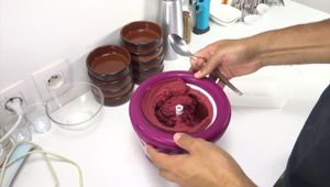 Recette Sorbet Cassis Facile : Tuto Été Frais !