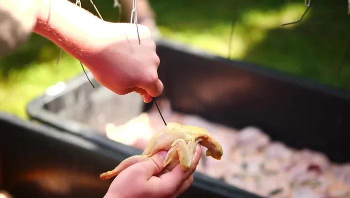 Préparation des cailles pour la cuisson: Enfiler les cailles sur des fils de fer, en formant une boucle.