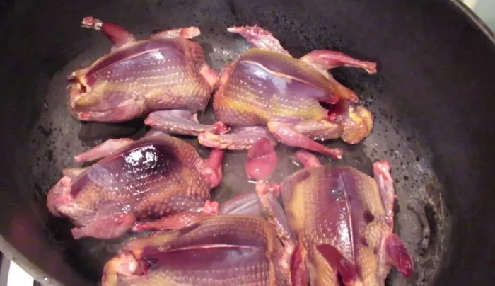 Faire revenir les pigeons dans de la graisse de canard pour les colorer.