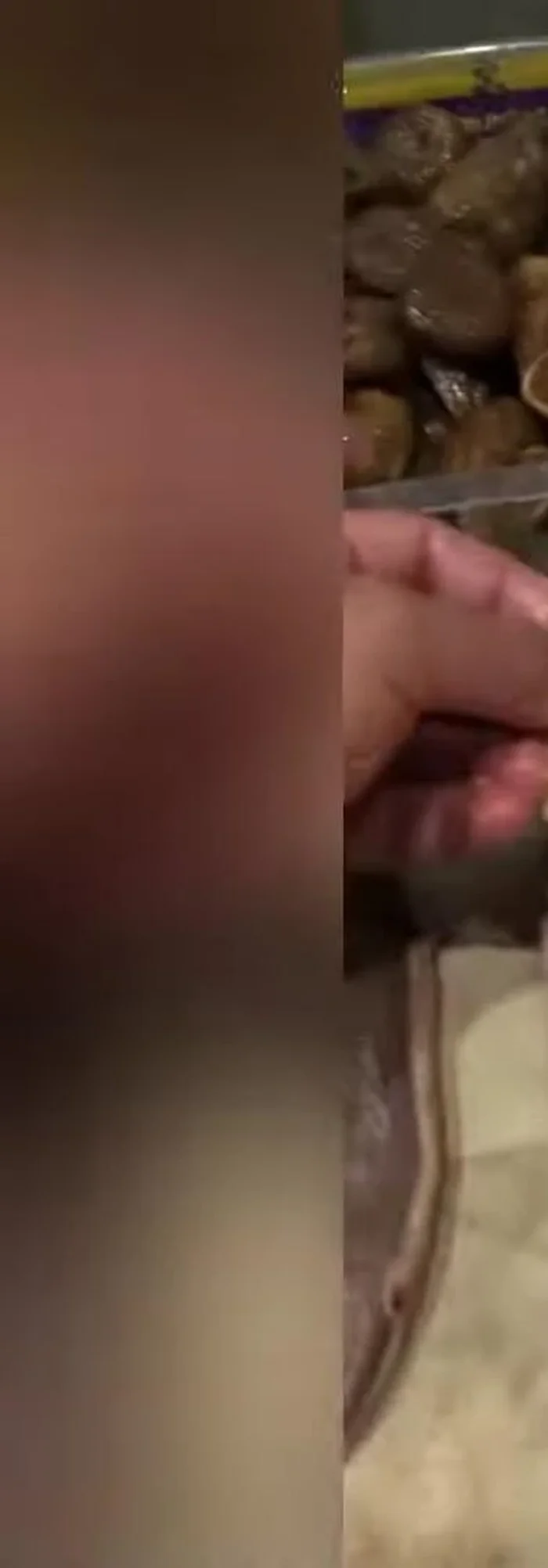 Superposer 3 tranches de foie gras sur des demi-figues.