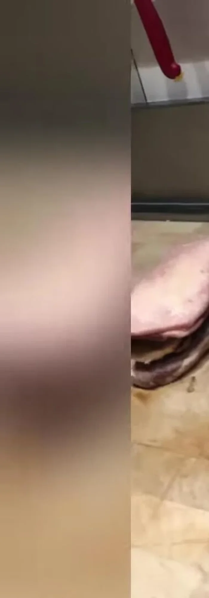 Ficeler le magret délicatement (3 ou 4 ficelles suffisent, sans serrer trop fort).