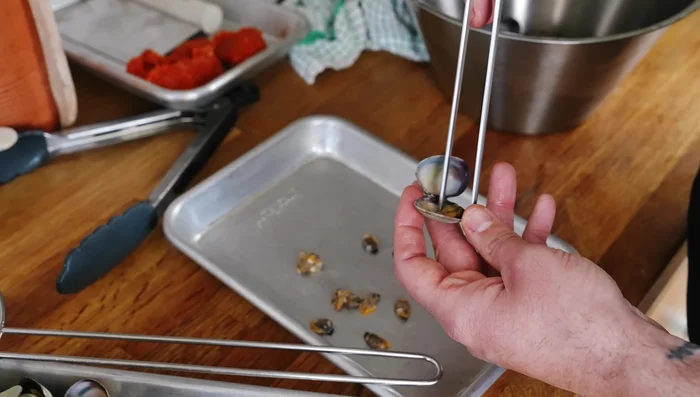 Retirer les palourdes de leur coquille (garder quelques-unes entières pour la décoration). Filtrer le jus de cuisson.