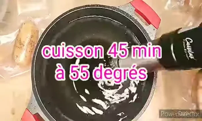 Remplir une casserole d'eau, y plonger le thermoplongeur et régler à 55°C.