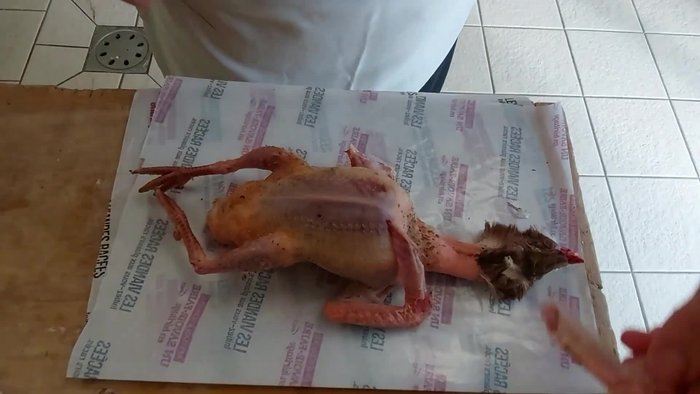 Préparation des pigeonneaux : Flamber le duvet et les plumes. Couper les extrémités des ailes et des pattes. Enlever les écailles des pattes.