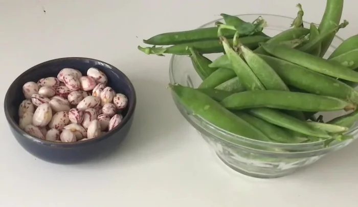 Écosser les petits pois, les fèves et préparer les haricots verts. Faire bouillir de l'eau salée pour cuire les haricots verts (environ 15 minutes).