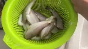 Recette facile d'Espagne: Salade de calamars et carottes maison