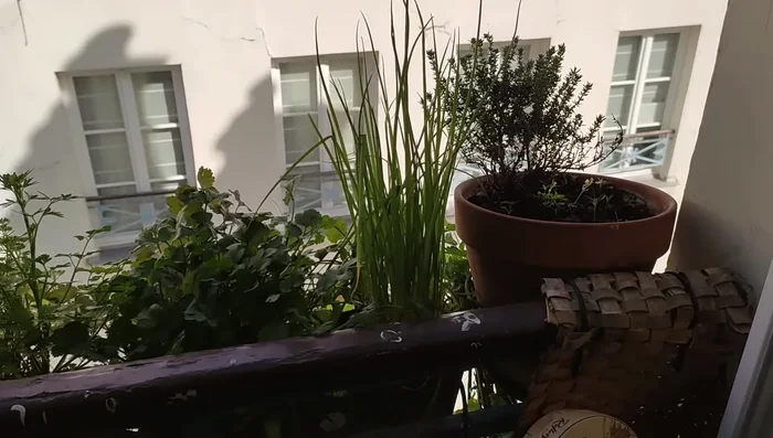 Assembler le plat : Mélanger les légumes cuits, les protéines et les grains dans une casserole ou un plat allant au four.