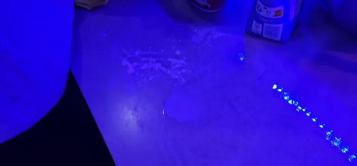 Chauffer une poêle légèrement huilée. [602.12]