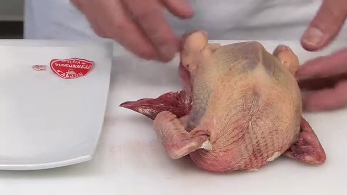 Étirer le pigeon en le tenant par le cou et les pattes (attention, animal fragile).