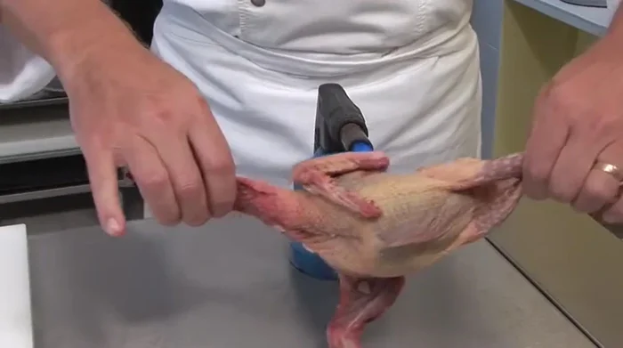 Flamber rapidement le pigeon au chalumeau ou sur le gaz pour éviter le réchauffement (opération rapide).