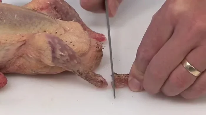 Sélectionner la jointure des pattes et sectionner au niveau de la première jointure de l'aile. Garder l'aileron pour le fond brun.
