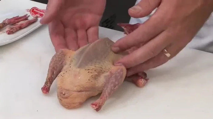 Poser le pigeon sur la poitrine. Prendre le cou, tendre la peau et faire une petite incision pour dégager le cou.