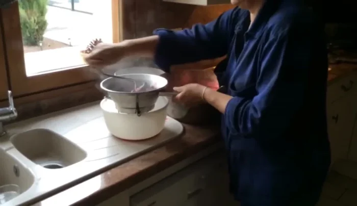 Passez le cassis au moulin à légumes pour obtenir une purée.