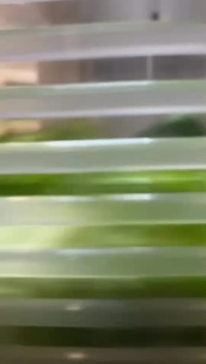 Cuire le poulet dans une friteuse à air.