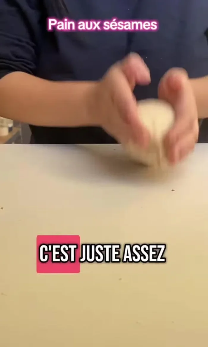 Préchauffer le four et la lèche-frite. [30.599]