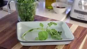 Sauce Béchamel : Recette Facile et Dérivés