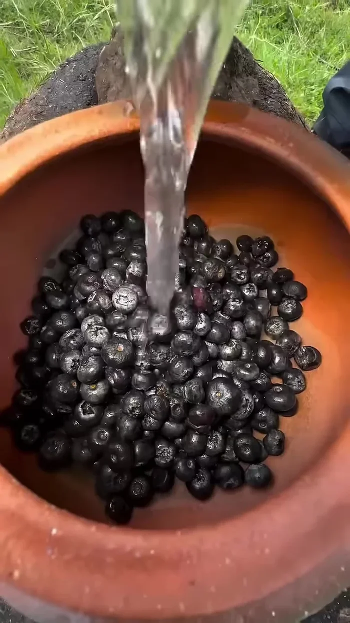 Préparer la confiture de myrtilles: Faire cuire les myrtilles lavées avec de l'eau et du sucre.