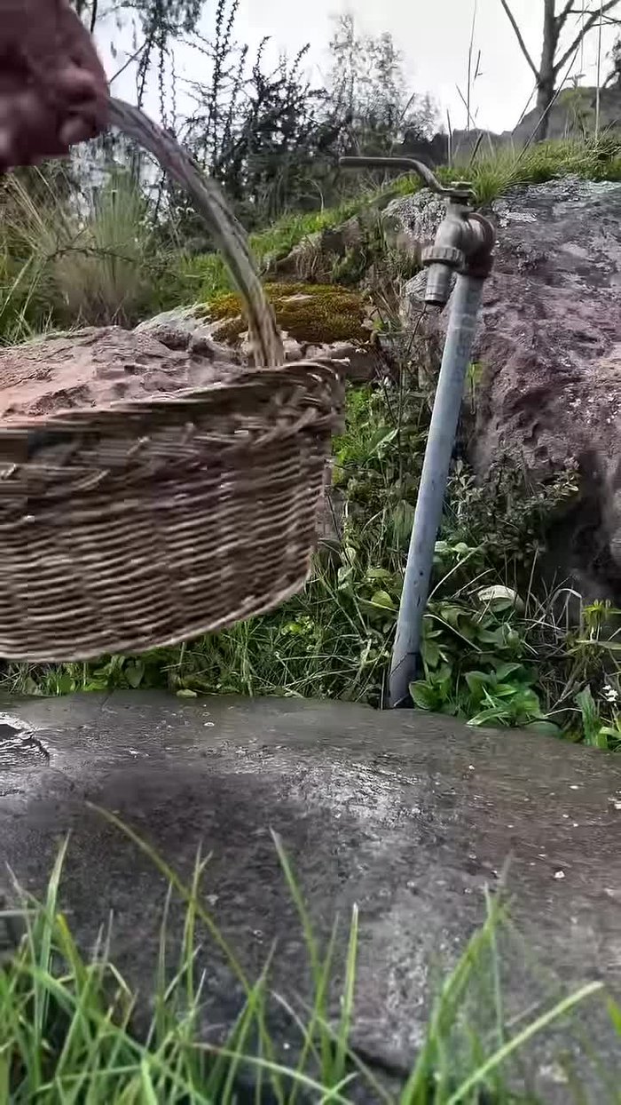 Préparer la première pâte: Mélanger la farine, le sel, le beurre, le sucre, la levure et l'eau chaude. Pétrir 10 minutes.