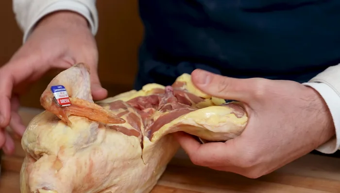 Désossez le poulet. (309.039)