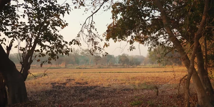 Préparation du riz au lait indien.