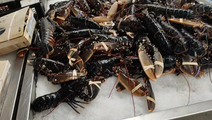 Déguster et apprécier les saveurs authentiques de la Bretagne !