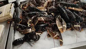Recette Bretonne : Un Délice Régional Facile !