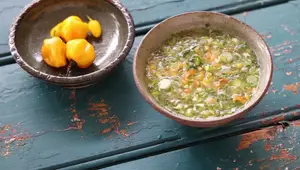Sauce Chien (ou Sauce au Canard): Recette Antillaise Épicée