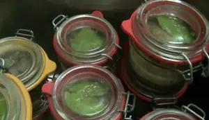 Pâté de Lapin Maison: Recette Facile et Détaillée