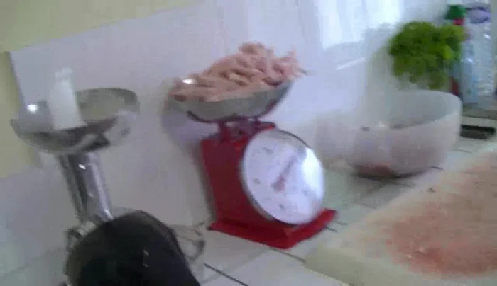 Mixez la chair de lapin cuite, la panne de porc, le sauté de porc, les oignons, le thym, et les feuilles de laurier.