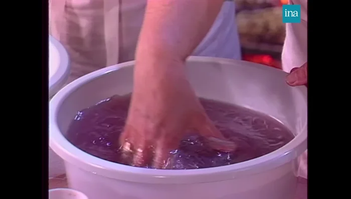 Étaler les pibales sur un linge propre et les essorer en roulant le linge. Répéter l'opération plusieurs fois pour bien les sécher.