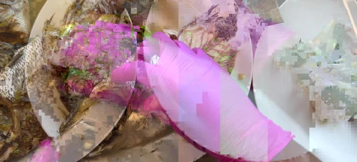 Retirez les filets de poisson cuits.