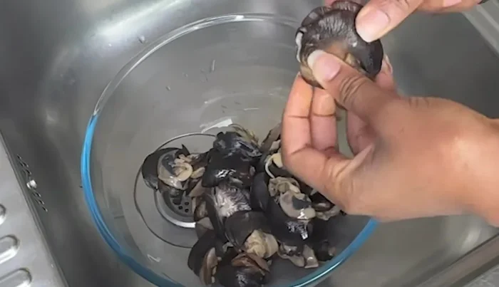 Préparer les escargots : inciser les escargots en forme de papillon. Les laver abondamment à l'eau chaude et au citron pour enlever le mucus. Répéter plusieurs fois jusqu'à ce qu'ils soient propres.