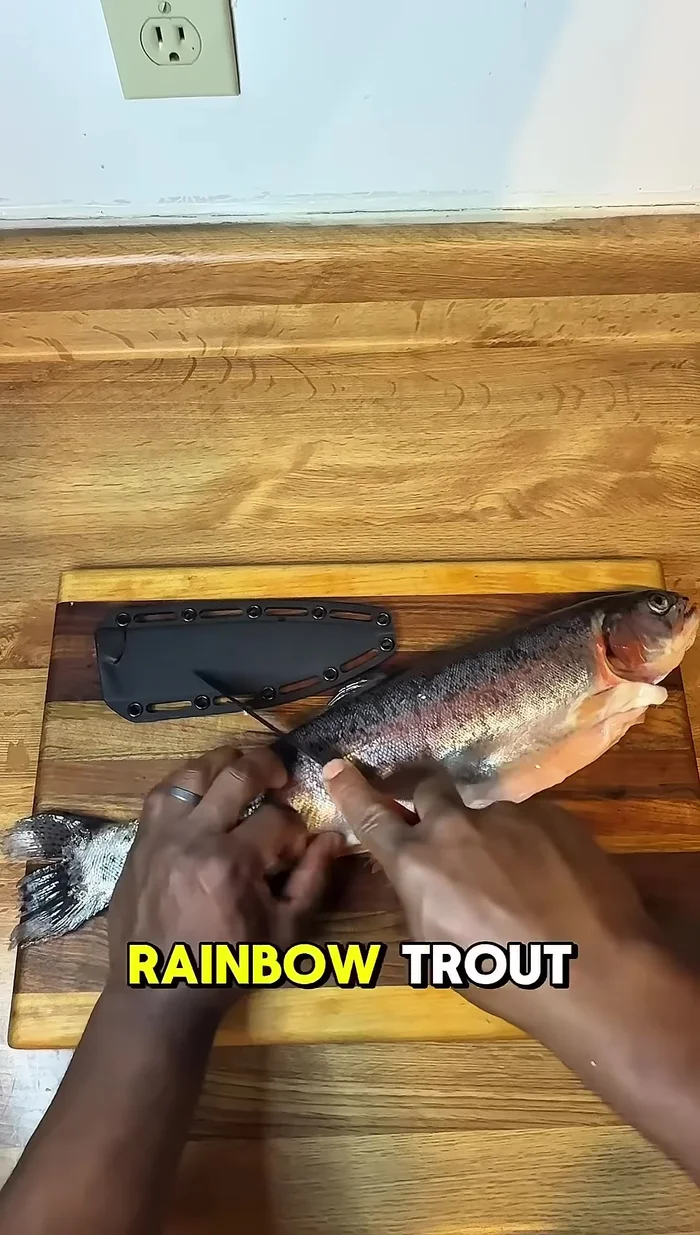 Marquer la truite arc-en-ciel.